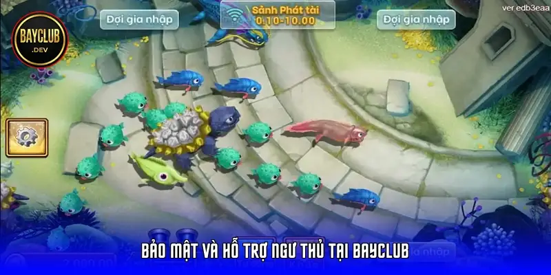 Bảo mật và hỗ trợ ngư thủ tại BayClub