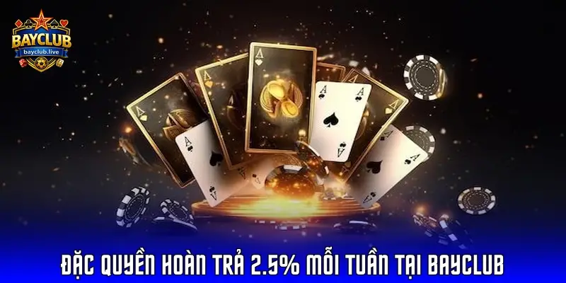 đặc quyền hoàn trả 2.5% mỗi tuần tại BayClub