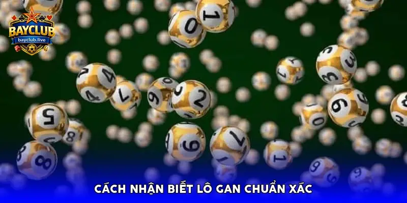Cách nhận biết lô gan chuẩn xác