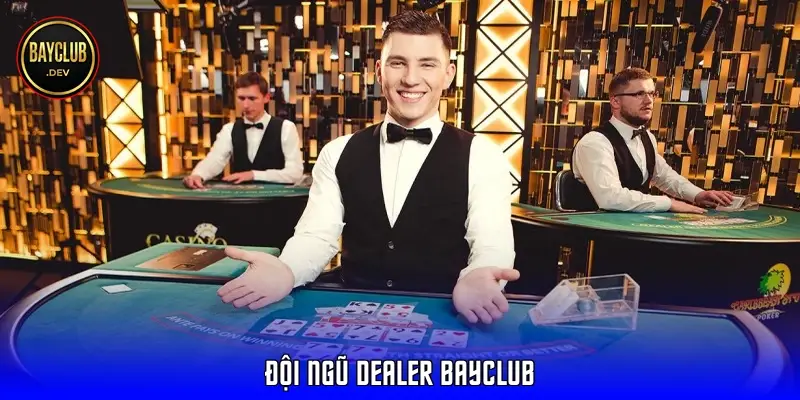 Đội ngũ dealer BAYCLUB